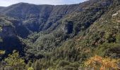 Tour Wandern Saint-Maurice-Navacelles - GRP La Vaquerie - Photo 8