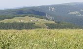 Tour Wandern Le Valtin - Route des Roches. Schlucht-Hohneck - Photo 20