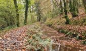 Tocht Stappen Huelgoat - Forêt Huelgoat - Photo 15