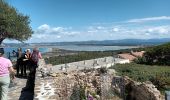 Trail Walking Hyères - Tour de la Presqu'île de Giens-05-04-23 - Photo 9