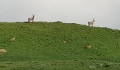 Percorso Marcia Saint-Sorlin-d'Arves - Les trois cols - Photo 3