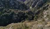 Trail Walking Saint-Marc-Jaumegarde - Bimon-La croix de Provence - Photo 3