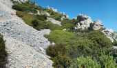 Trail Walking Marseille - Marseilleveyre-sommet-1105-22 - Photo 5