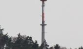 Tour Zu Fuß Collenberg - Burgberg-Ausblick - Photo 10