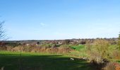 Randonnée Vélo Waimes - Province de Liège tourisme - Le lac de Bütgenbach - Photo 13