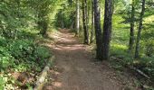 Tocht Stappen Bort-les-Orgues - tour des orgues  - Photo 17