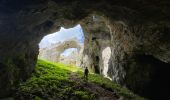 Tocht Stappen Andia - 3 Sommets  et Portupekoleze, grotte de Lezaundi  Puerto Lizarraga  - Photo 13