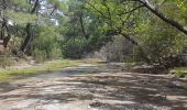 Trail Walking Seven spring waterfall - Rhodes les 7 sources 452019 - Photo 3