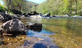 Tour Wandern Aywaille - en remontant l'Amblève et en redescendant le Ninglinspo - Photo 13