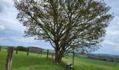 Trail Walking Dinant - Foy Notre Dame 250424 - Photo 20