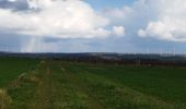 Trail Walking Charmé - La balade de Charmé 16 - Photo 4