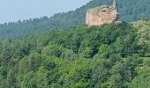 Trail Electric bike Lembach - pays de Fleckenstein - Photo 4