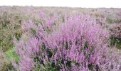 Tocht Te voet Arnhem - Deelerwoud - Rood - Photo 10