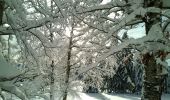 Excursión Raquetas de nieve Pontarlier - Pontarlier Gounfay Grand Taureau 2021-01-19 CAF - Photo 2