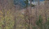 Trail Walking Le Valtin - le Collet - Longemer - Photo 2