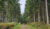 Tour Wandern Stoumont - A la découverte de Stoumont  - Photo 20