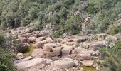 Tour Mountainbike Les Adrets-de-l'Estérel - Esterel 4 : Fait 06/04/23 TB des Adrets vers le pic de l'ours - Photo 4