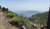 Trail Walking Ingenio - Barranco de Guayadeque (Gran Canaria) - Photo 17