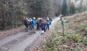 Excursión Senderismo Sewen - 2019.11.26.Seven - Photo 1