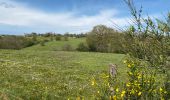 Tour Wandern Rochefort - Mont Gauthier - Photo 6