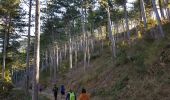 Percorso Camminata nordica Saint-Étienne-de-Gourgas - Forêt de Notre-Dame de Parlatge - Photo 5