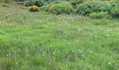 Trail Walking Chanaleilles - COMPOSTELLE J4 - Photo 8