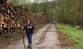 Tour Wandern Nassogne - Grune - Photo 17