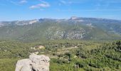 Trail Walking Roquefort-la-Bédoule - Roquefort la chapelle st Andre - Photo 1