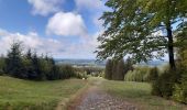 Percorso Marcia Spa - spa . bronrome . thier des rexhons . spa  - Photo 9