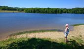 Tocht Stappen Sénaillac-Latronquière - Lac du Tolerme  - Photo 3