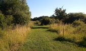 Trail On foot Leudelange - Auto-Pédestre Roedgen - Photo 8