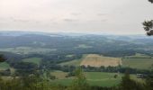 Tour Zu Fuß Rudolstadt - Rundwanderweg 5 - Photo 2