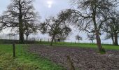 Percorso Marcia Soignies - Tour chapelle des Cerisiers - Photo 1