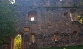 Trail Walking Schramberg - Schramberg - Châteaux de Falkenstein et de Hohenschramberg - Photo 9