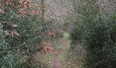 Percorso A piedi Teignbridge - Kenn to Haldon Trail - Photo 2