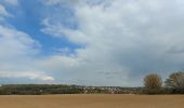 Tour Wandern Mont-Saint-Guibert - promenade de la ferme Dedobeleer et du moulin. - Photo 6