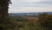 Tocht Stappen Clermont-Soubiran - Coteaux depuis maison Roiatti  - Photo 8