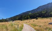 Tocht Stappen Bellecombe-en-Bauges - Tour de BancPlat, Dent des portes en partant du petit reposoir  - Photo 17