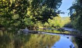 Tour Wandern Hohenfels - rando nadrin 10-09-2023 - Photo 8