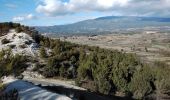Trail Walking Mormoiron - St Pierre de vassol le LImon 84  - Photo 4