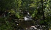 Excursión Senderismo Stavelot - 20200816 - HUWAO Hockai 10.4 Km - Photo 2