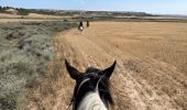 Tocht Paardrijden Arguedas - Bardenas jour 7 - Photo 13