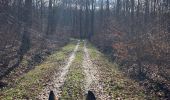 Tour Reiten Saint-Martin - Dimanche 25 février 24 aller - Photo 8