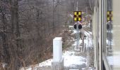 Randonnée A pied Trontano - A16 - Trontano - Passo del Ragozzale - Photo 5