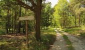 Percorso A piedi Byhleguhre-Byhlen - Wanderweg Straupitz (L44)-Byhlen-Pintschens Quell - Photo 5