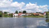 Percorso A piedi Borotín - Naučná stezka J. E. Kypty - Photo 9