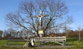 Tocht Te voet Bad Camberg - Rundwanderweg Schnepfe - Photo 4