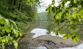 Tour Wandern La Roche-en-Ardenne - Warempage 23 km - Photo 11