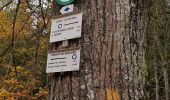 Excursión Bici de montaña Raon-l'Étape - sortie vtt 03112019 la trouche - Photo 2