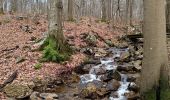 Tocht Stappen Spa - La promenade de Meyerbeer (6,6km)  - Photo 14